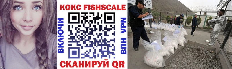 купить наркотик  Вытегра  Cocaine Fish Scale 