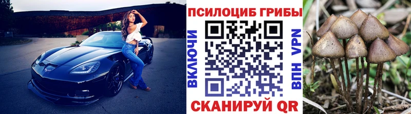 Галлюциногенные грибы мицелий  Вытегра 